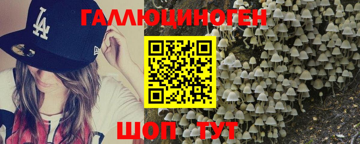 Югорск  Псилоцибиновые грибы мицелий  Вход с VPN 